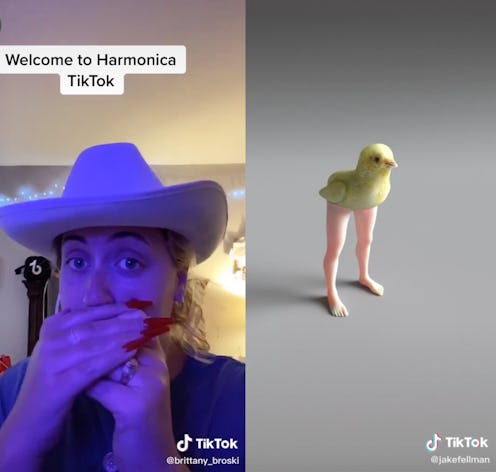 How to find the alternative side of TikTok.