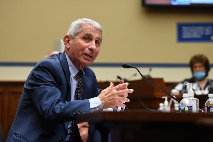 Anthony Fauci during is testification 
