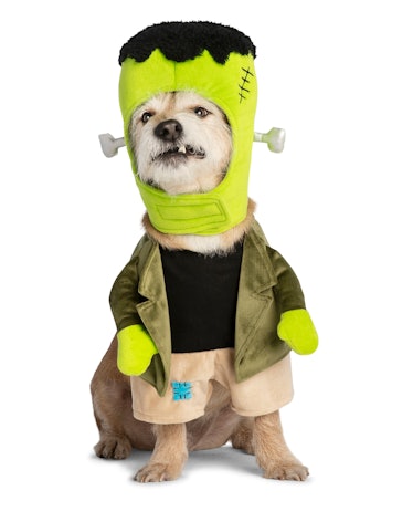 Thrills & Chills™ Pet Halloween Monster Pet Costume