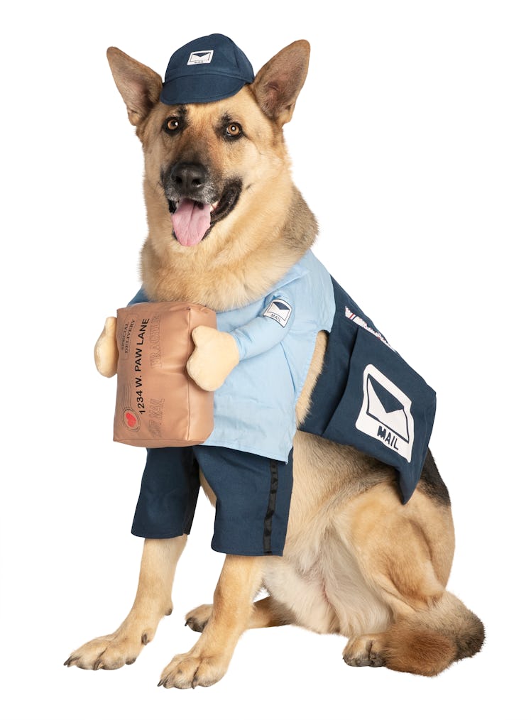 Thrills & Chills™ Pet Halloween Mailman Pet Costume