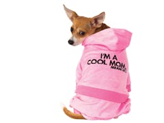 A dog wear a pink 'Mean Girls' mom track suit looks back. 
