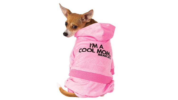 A dog wear a pink 'Mean Girls' mom track suit looks back.