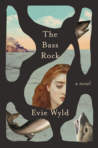'The Bass Rock' by Evie Wyld