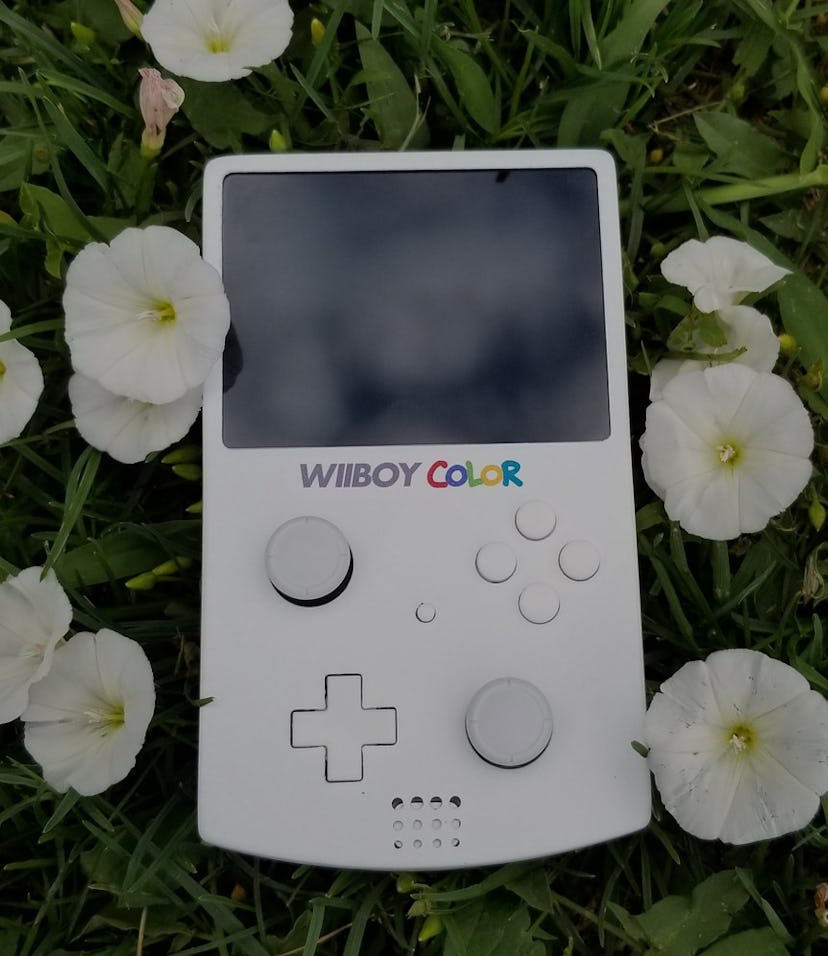 A photo of the WiiBoy Color