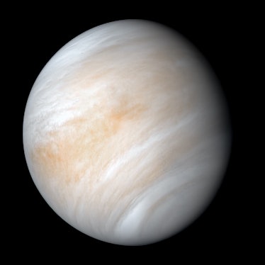 Venus, as seen by Mariner 10.