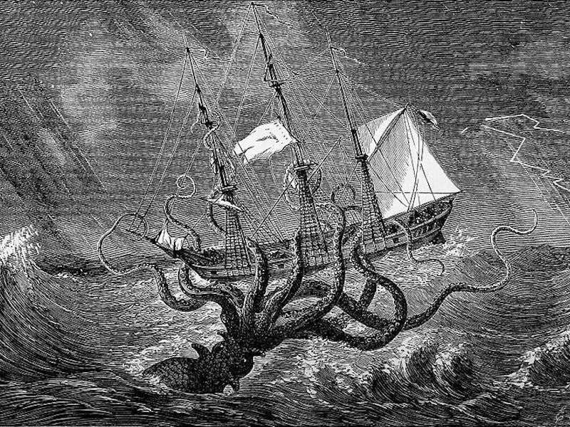 Giant squid.