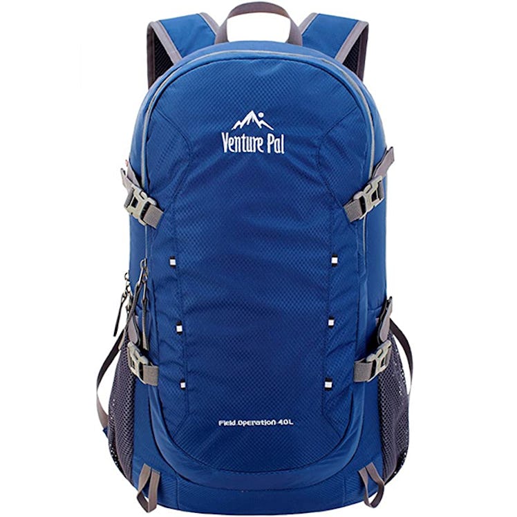 Venture Pal Packable Backpack