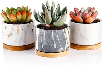 Greenaholics Marble Pattern Planters (3-Pack) 