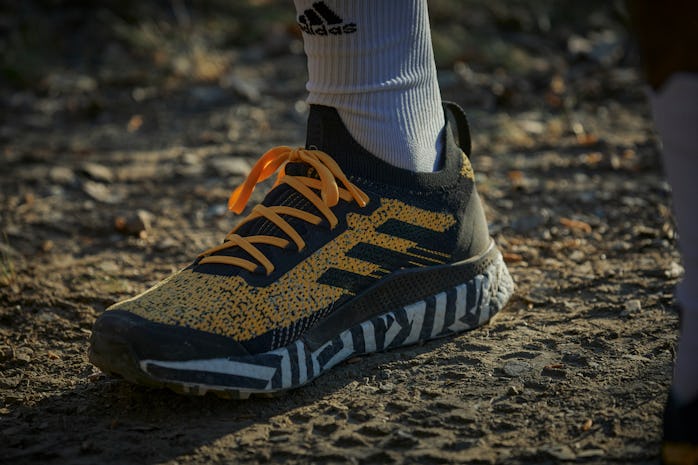 Adidas Terrex TWO Ultra Parley