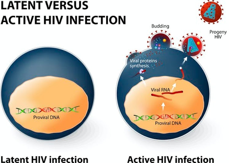 A chart showing differences between latent and active HIV infection