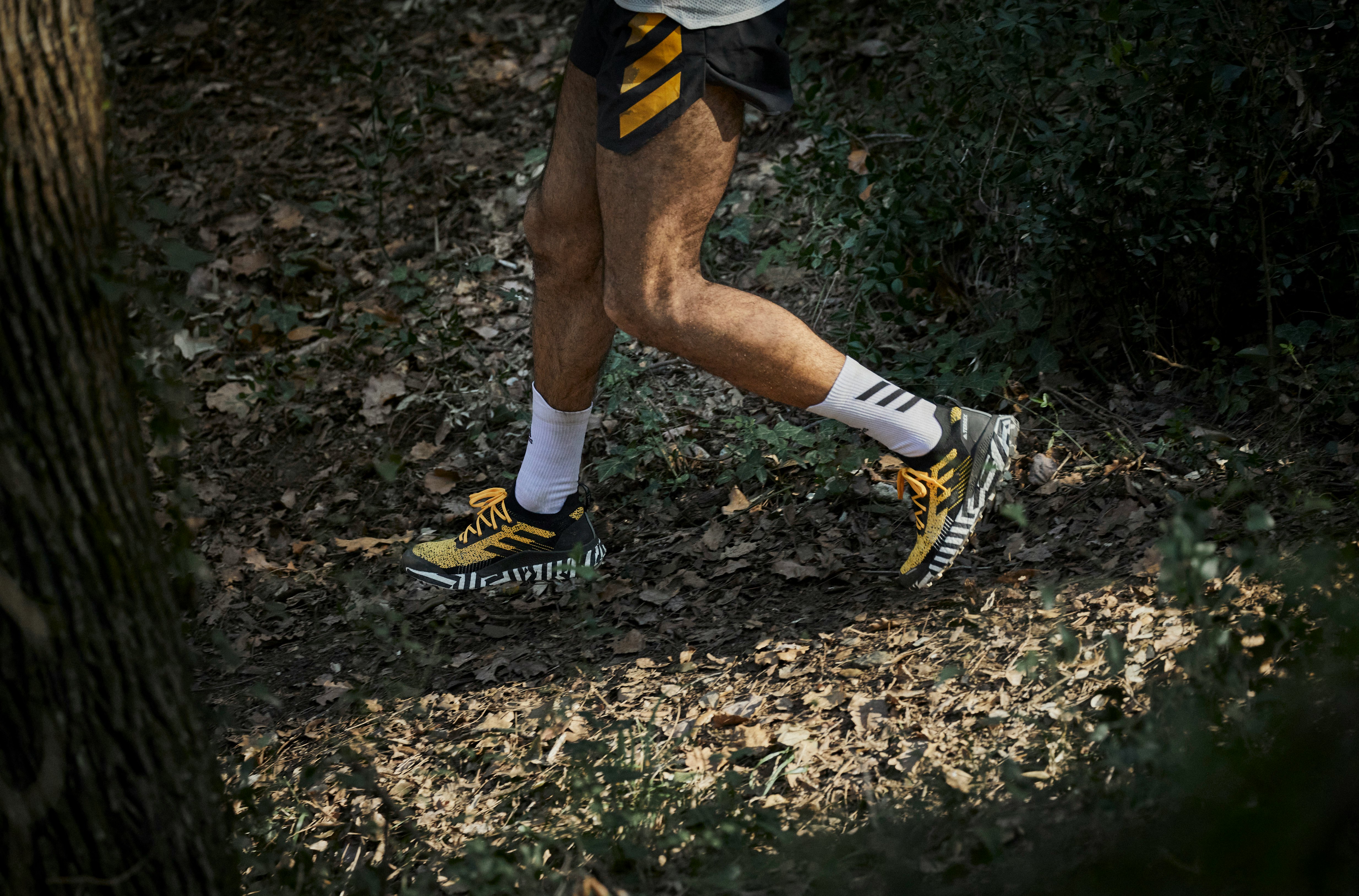 terrex running shoes