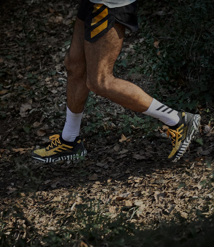 Adidas Terrex TWO Ultra Parley