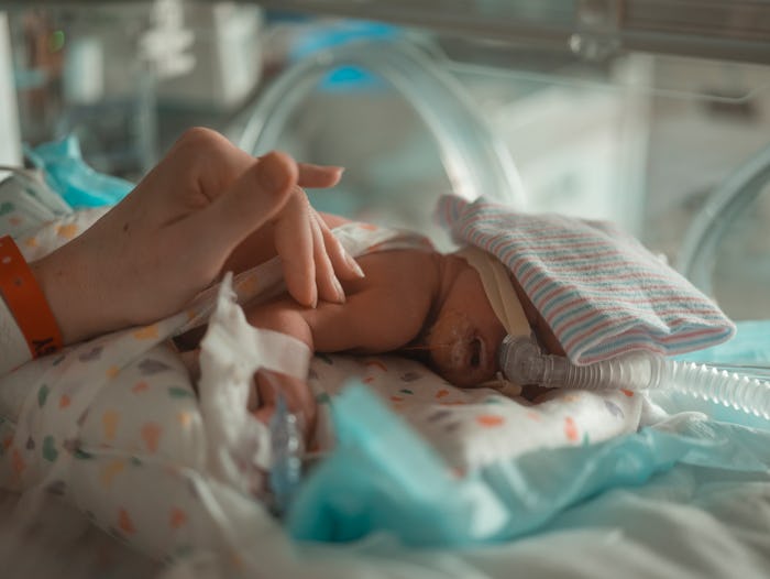What is nicu awareness month? mother strokes her NICU baby in an isolet