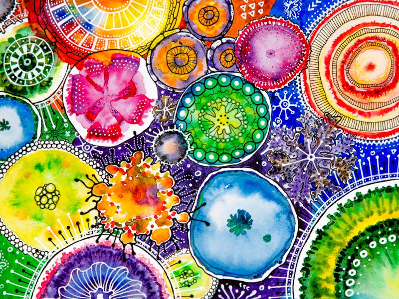 An illustrated multi-colored microbial biodiversity