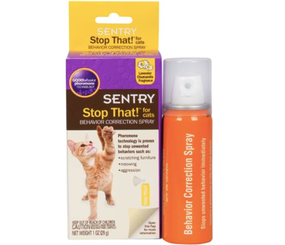 The 4 Best Cat Repellent Sprays For Furniture