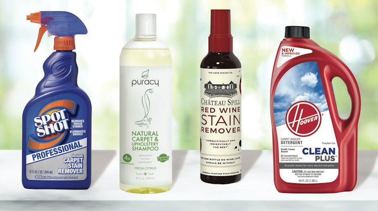Best Carpet Stain Removers