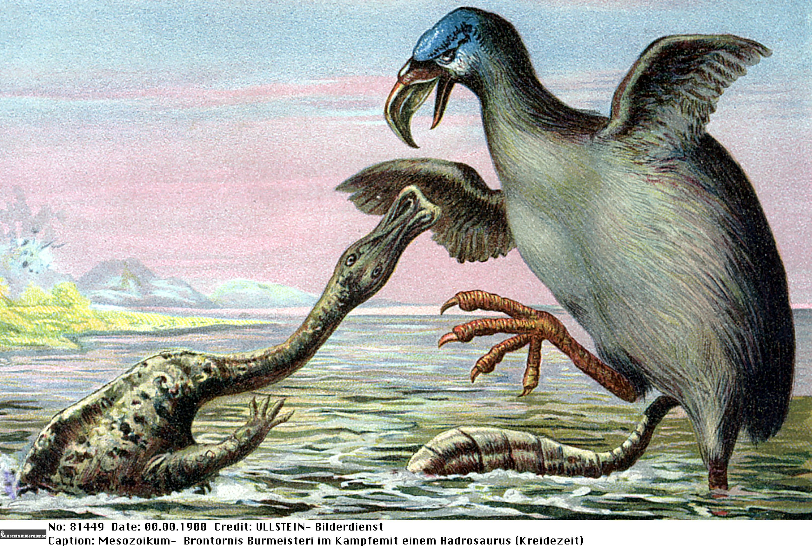 7 extinct birds that were extremely metal