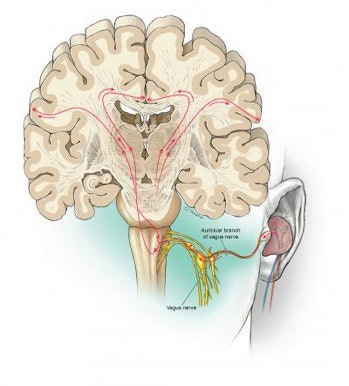 Scientists discover brain hack for language learning