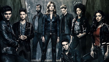 shadowhunters freeform