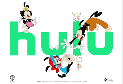 Hulu's Animaniacs reboot has been renewed for Season 2. 