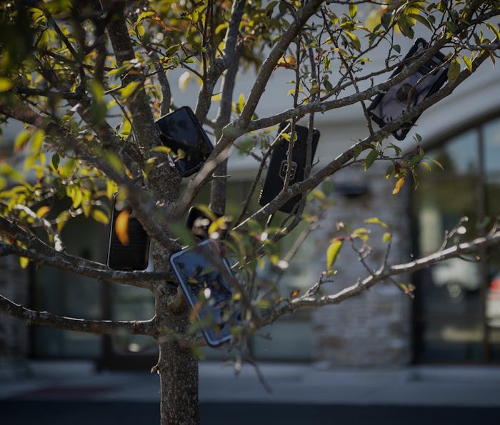 Phones hang in trees outside a Whole Food store.