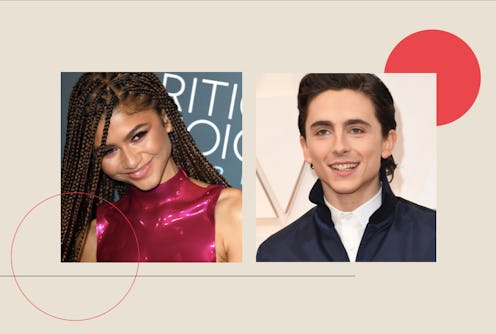 Timothée Chalamet Birthday Tribute To Zendaya