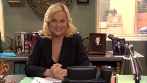 The Parks & Rec stars are reuniting for Democratic fundraiser