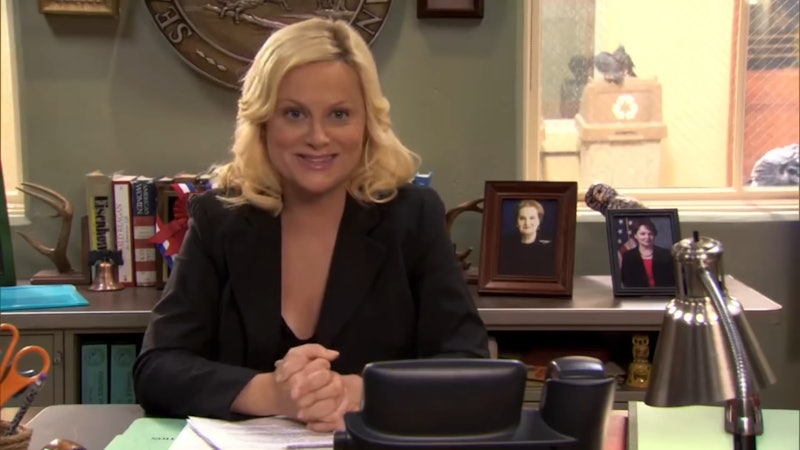 The Parks & Rec stars are reuniting for Democratic fundraiser