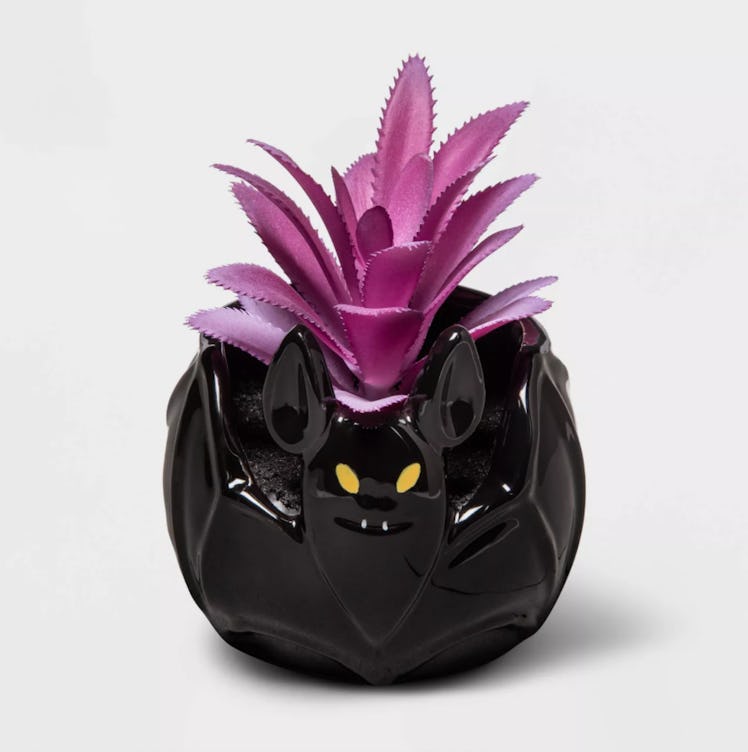 Halloween Black Bat with Purple Succulent