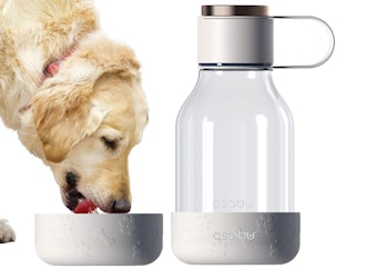 Asobu Dog Bottle And Bowl 