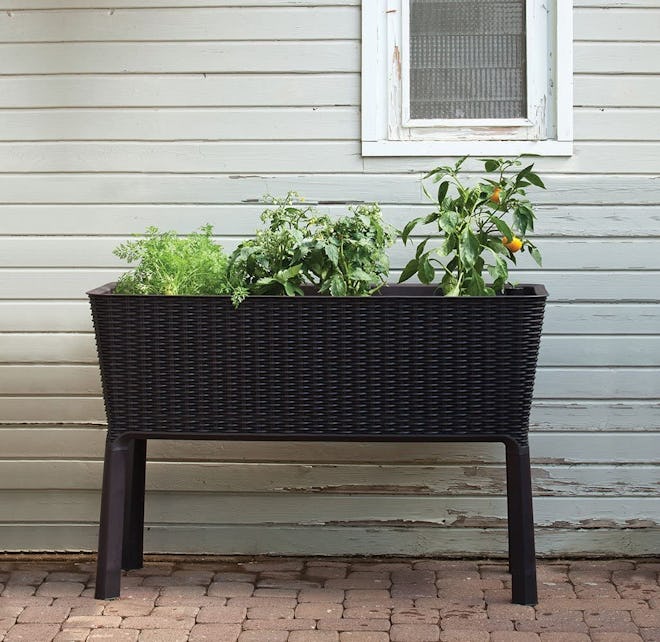 Keter Raised Garden Bed 