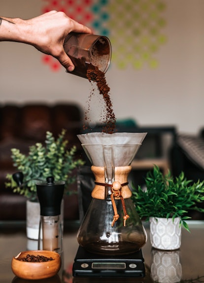A young man pours coffee grounds into a pour over coffee machine surrounded by plants and coffee bea...