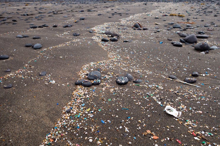 A beach shore with various plastic objects that are polluting the environment