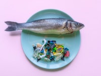 A blue plate with a fish on it next to plastic particles representing a chore that is sneakily pollu...