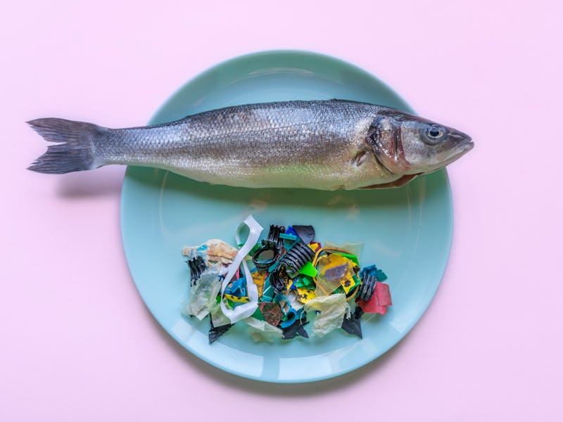 A blue plate with a fish on it next to plastic particles representing a chore that is sneakily pollu...