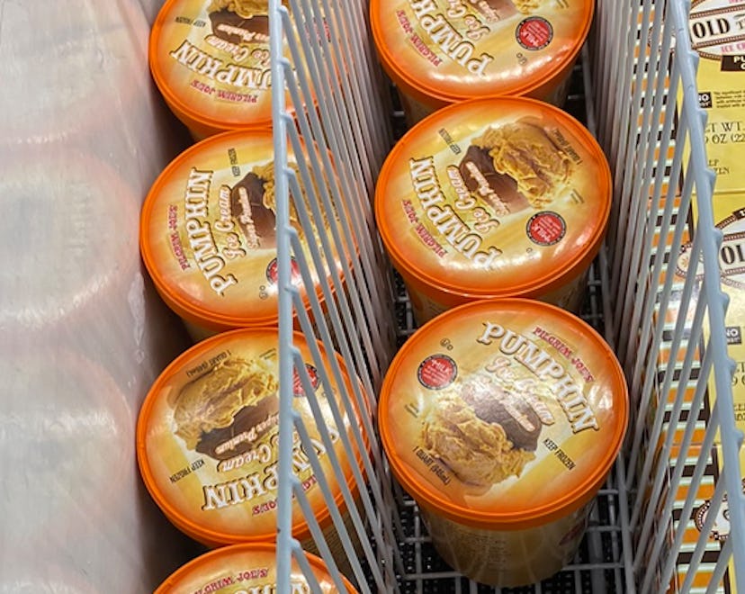 An image of two rows of pumpkin ice cream.