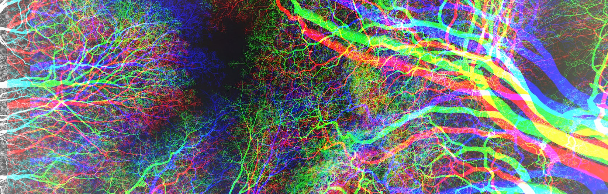 Scientists Uncover The Molecular Origins Of An Lsd Trip