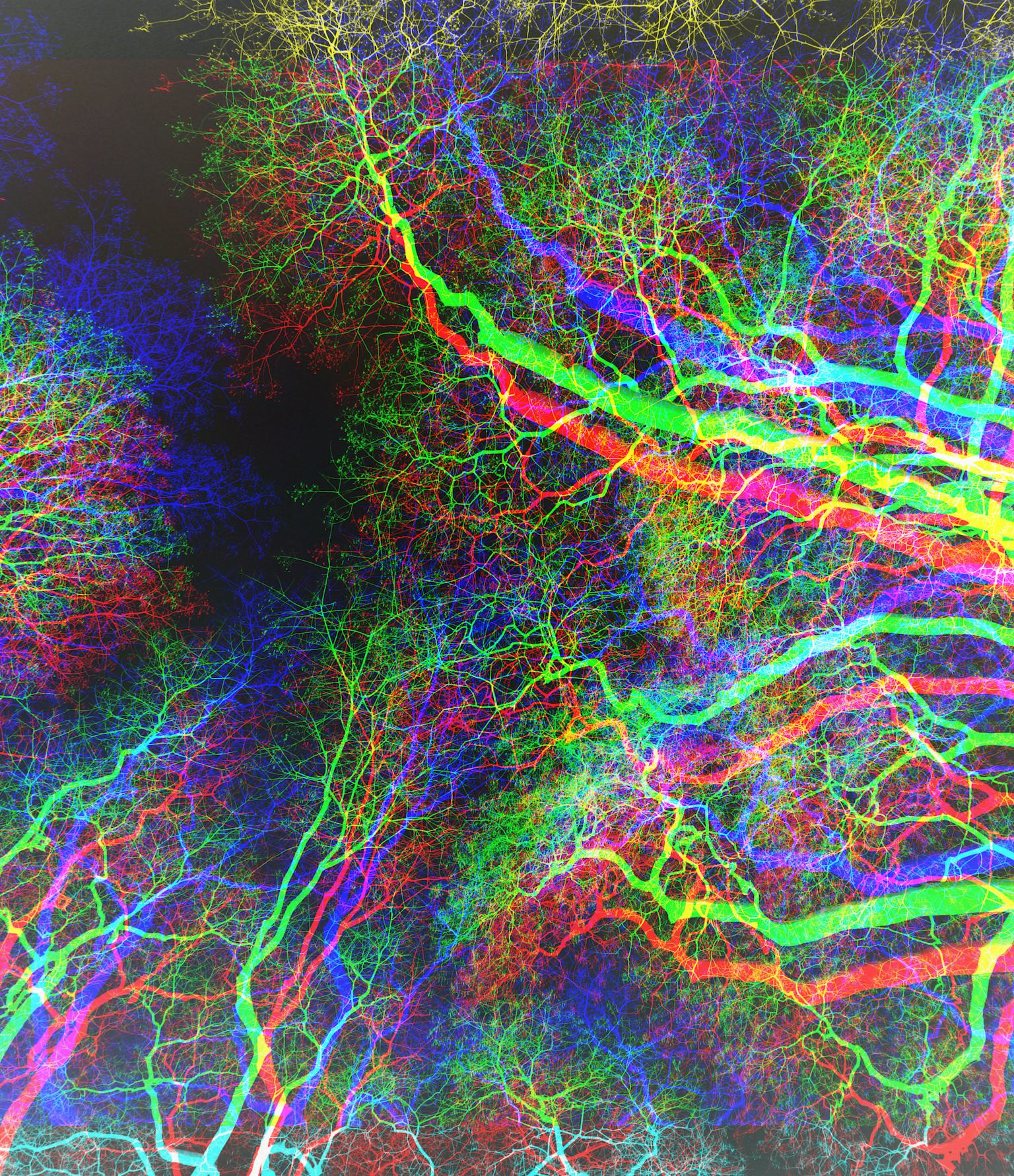Scientists uncover the molecular origins of an LSD trip