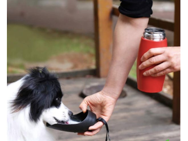 Vivaglory Stainless Steel Dog Water Bottle