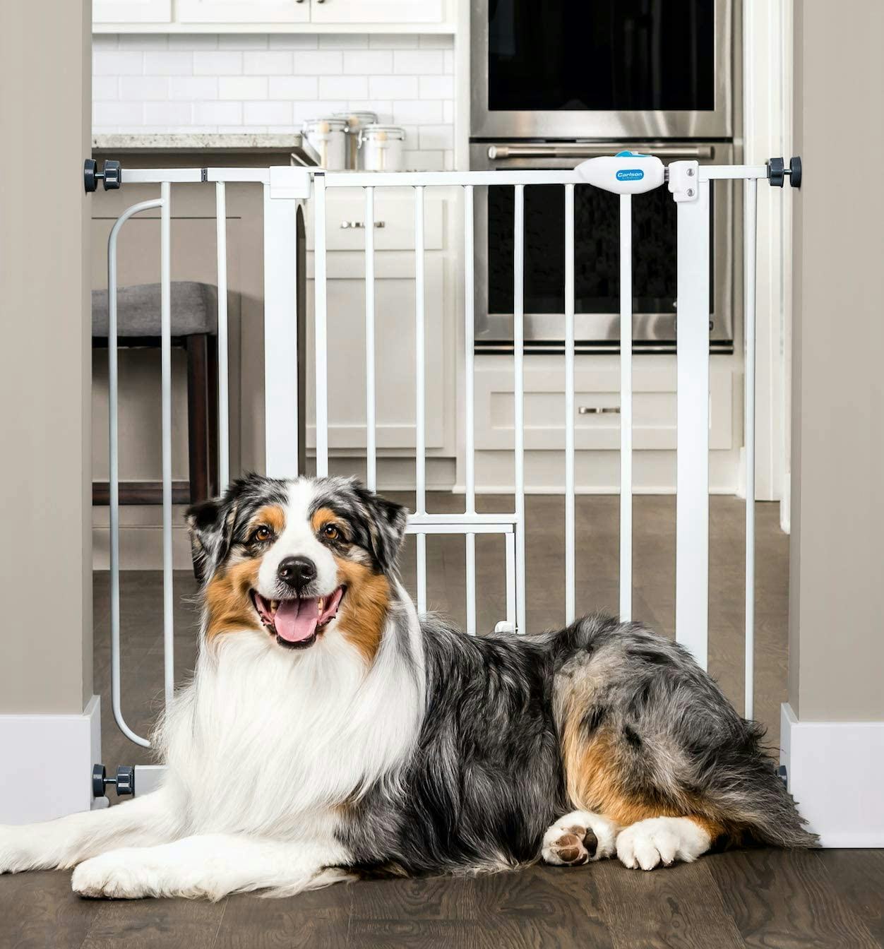 The 8 Best Dog Gates