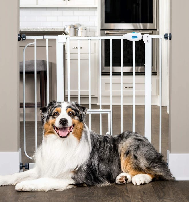 Carlson Extra-Wide Walk-Through Pet Gate