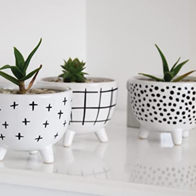 Carlton Lane Sofia Pots For Succulent Plants (Set of 3)