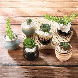 T4U Small Ceramic Succulent Pots (Set of 12)