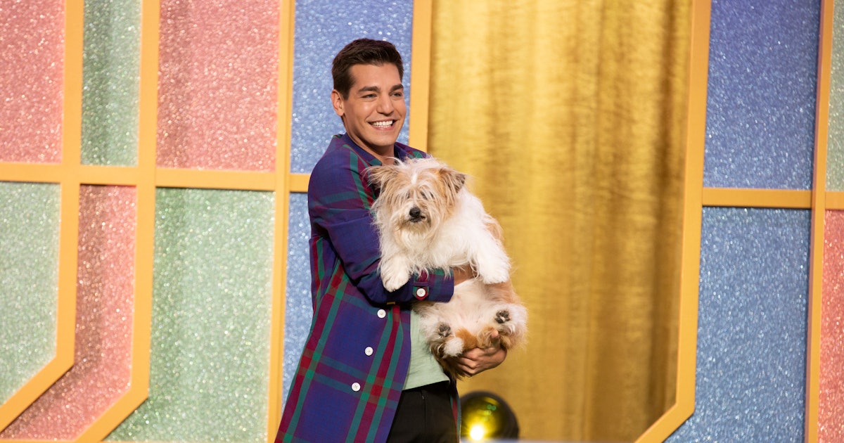 ‘Haute Dog’ Brings Competitive Dog Grooming To Your Screen ‘Haute Dog’ Brings Competitive Dog Grooming To Your Screen