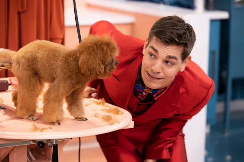 Matt Rogers on Haute Dog via the Warner Media press site