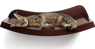 HumaneGoods Cat Shelf