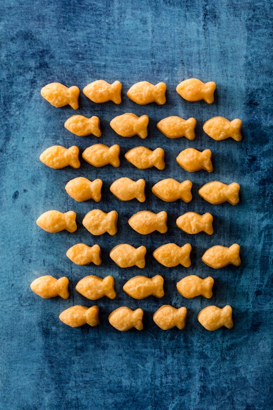 diy cheddar fish crackers from america's test kitchen cookbook