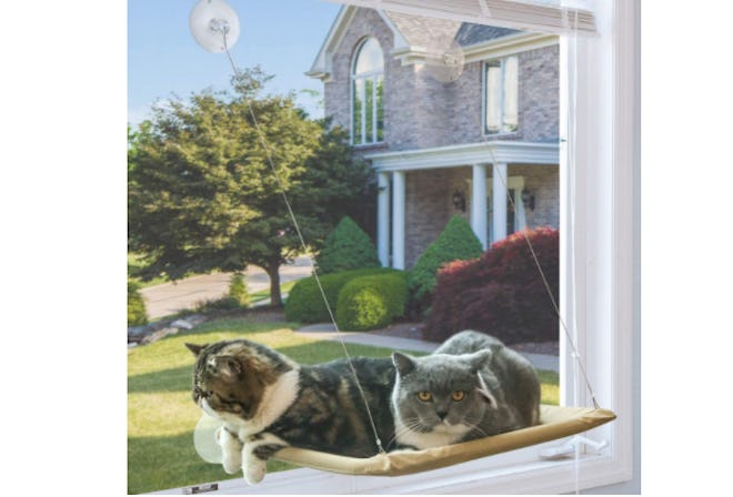 NOYAL Cat Window Hammock