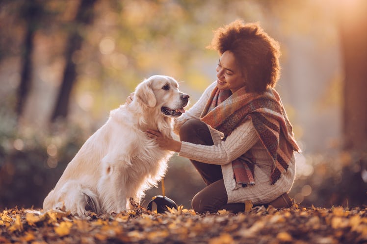 Highlight all your fall activities with your pup by using one of these Instagram captions for fall p...