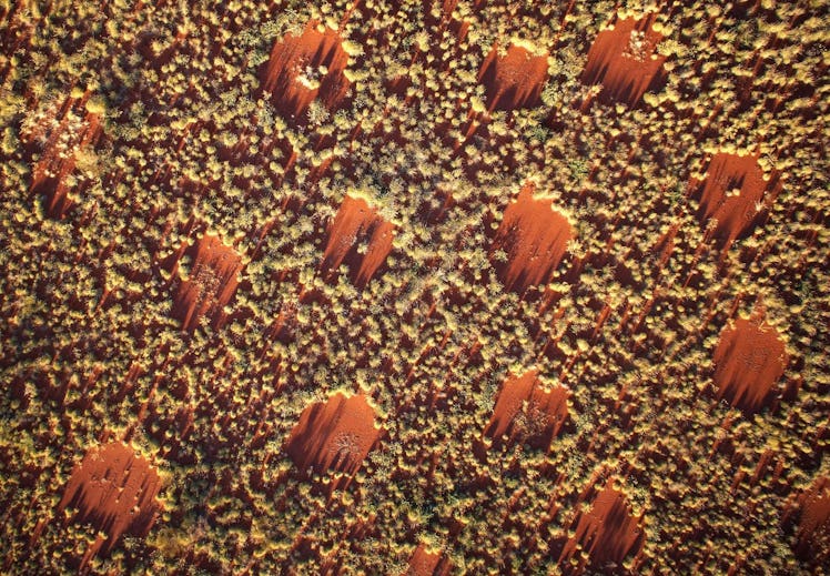 Drone footage of orange fairy circles in Australia taken from 130 feet above ground